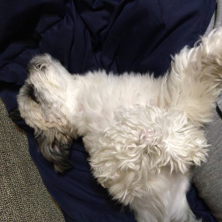 06d32870 251e 4472 9289 2b1acfd53424