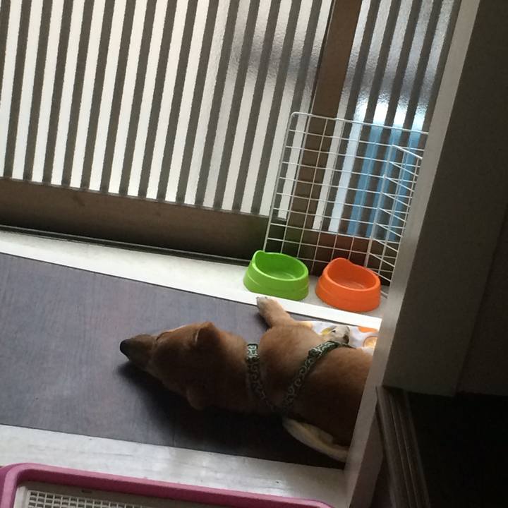 06d32b86 660f 4107 ab12 0216a091e74e