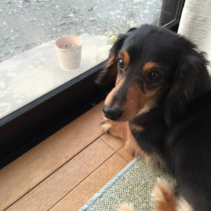 06d47079 35c9 4a51 9289 51600ec31fc2