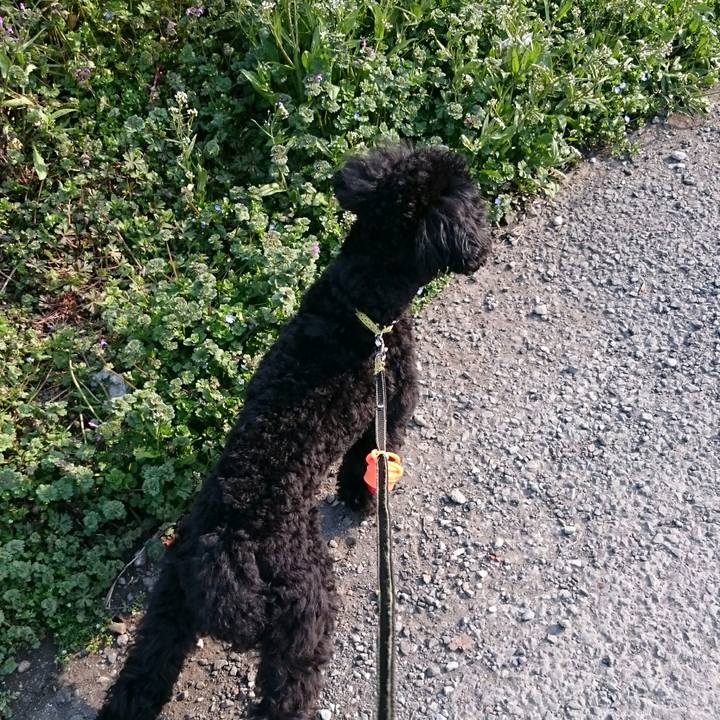 06d55209 d458 4a44 b443 18c17e6a3907