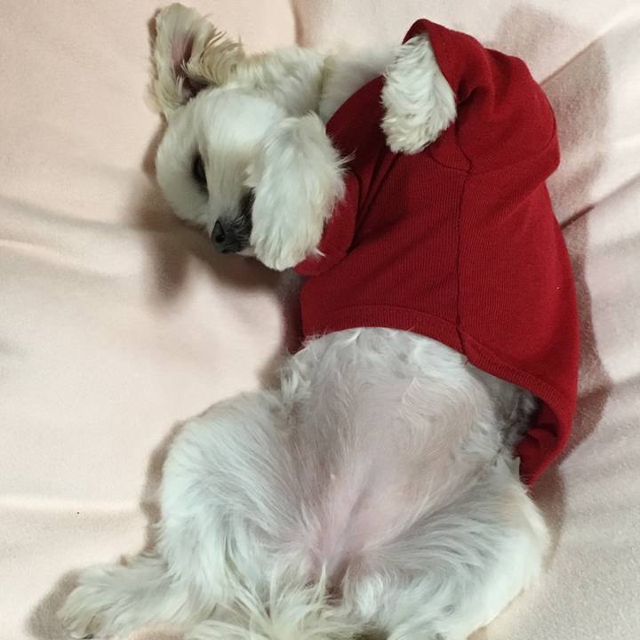 06d56697 71e3 4286 b446 6e203ca5cd12