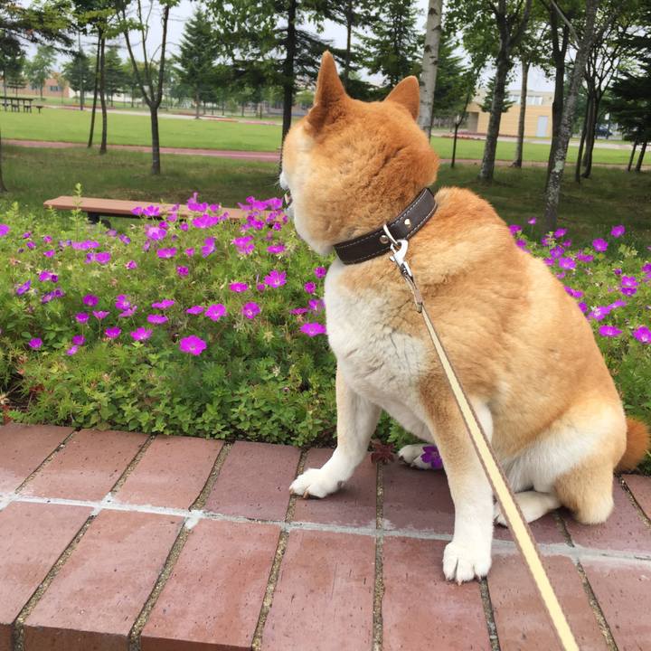 06d5ac9a 601a 48b2 bdc2 8a676a111105