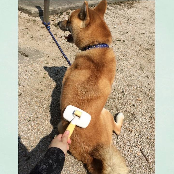 06d5f134 72ee 4fd5 a804 fff377e5fc0d