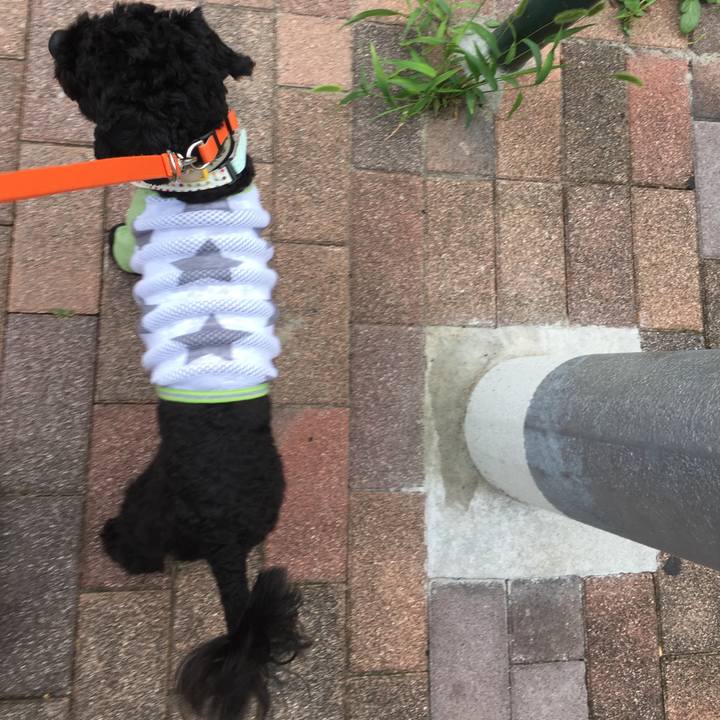 06d68144 a215 42b0 9566 c6b12f6d47f0