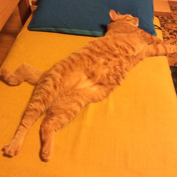 06d692ad 5792 4e4e 92fd 6485a4dbed7d