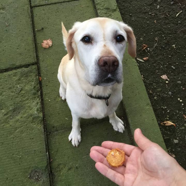 06d6bbde 68f2 455f bc49 97656183ca6f