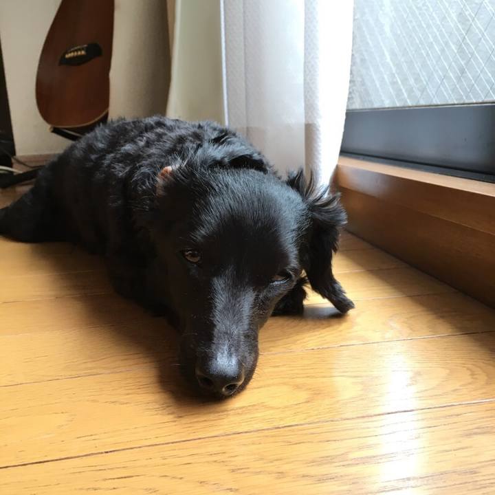 06d726bd 504c 4086 a527 6b00c5ed042a