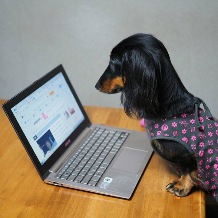 06d7396a 39af 47a7 9e4d ac02de9cc5c6