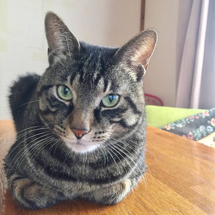 06d81b38 3c0e 4192 9935 c4bd0af1087e