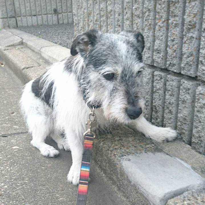 06d844d5 7a14 418f 8587 e902ce4b1a1f