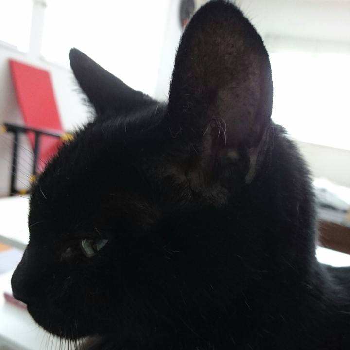 06d91985 d7c3 437a af35 c1838d2403a7