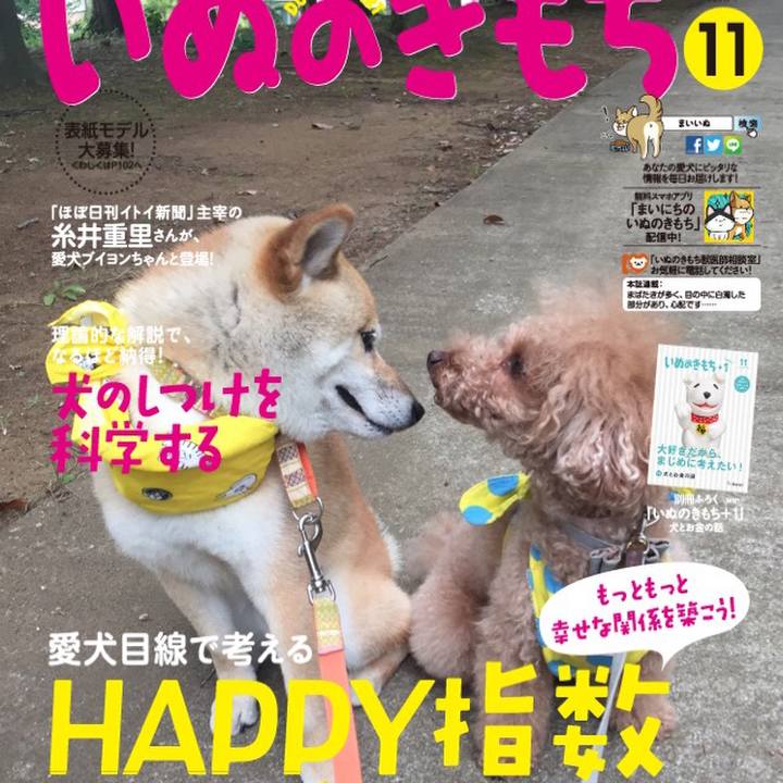 06d95d06 6312 4a18 bff4 049f8a66425e