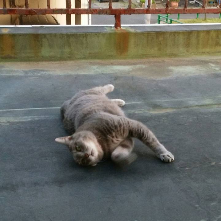 06d96fa7 d8e3 47d4 b544 3ce66d84c86f