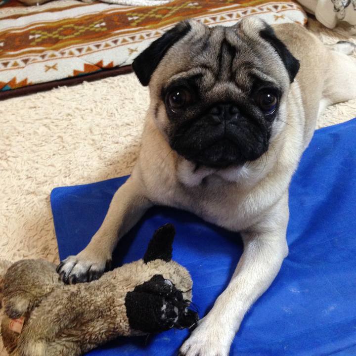 06d97857 ce53 4739 8390 222998b255e1