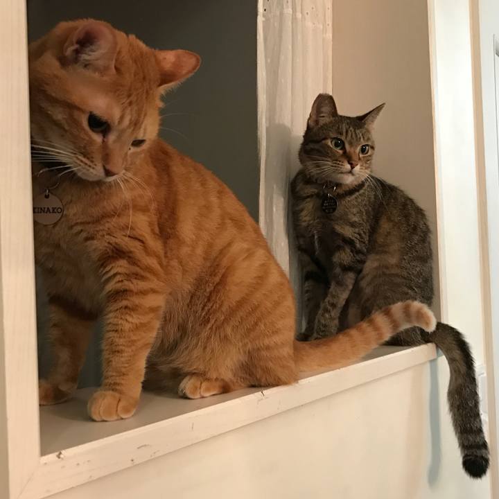 06d9938d 80ab 48a2 850d 440230046cd7