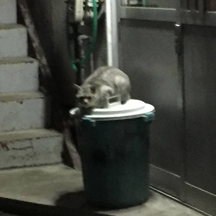 06d9d752 6a4e 4b74 8524 e73c95dce2a7