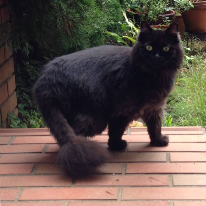 06d9f42b 0438 4e22 88cd 984e1b580a58