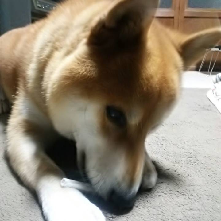 06da5eba 6d85 4961 9d65 ce03a2539d33