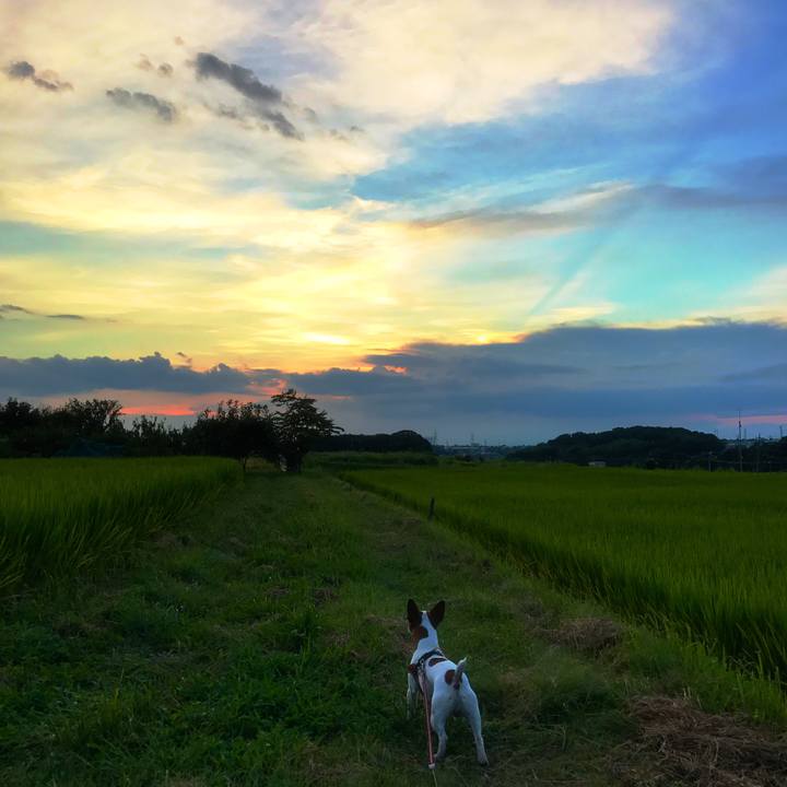 06da82fc d994 458f a76d bd28bd695cb4