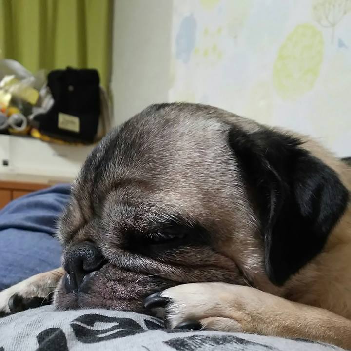 06da84b1 c16b 4518 a779 ccc7ba9da6dd