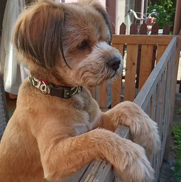 06dab1a2 2206 4f93 b609 538828462ba6