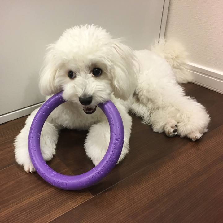 06dabf9c 0059 4bf6 b37c 7a8d1818d5ee