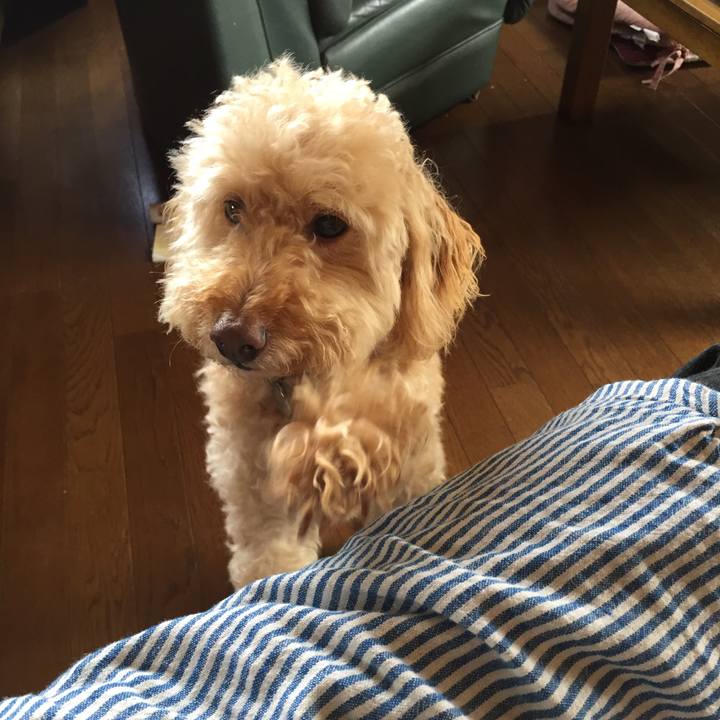 06db2e00 85f3 4a4f 8935 1de548df664a