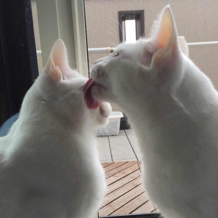 06db74fd 4552 4d93 af50 1186139bee8d