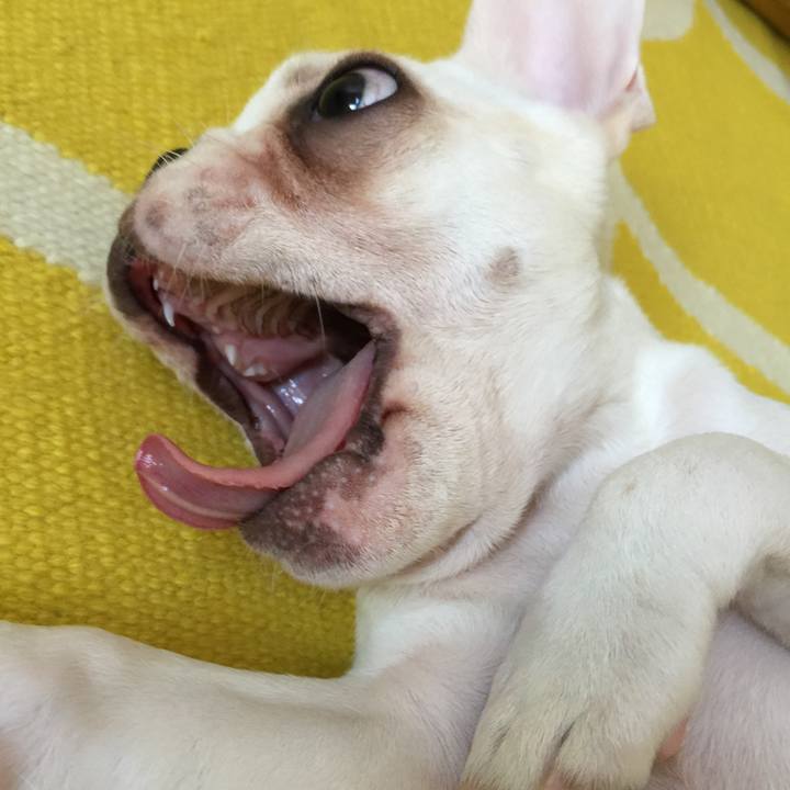 06dc4e3f 6c81 4b46 90fa 3a5d2058e0af