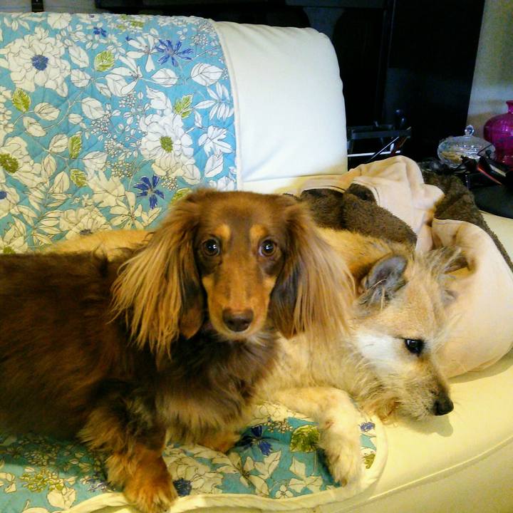 06dcc248 1937 495d b387 d9484b572995