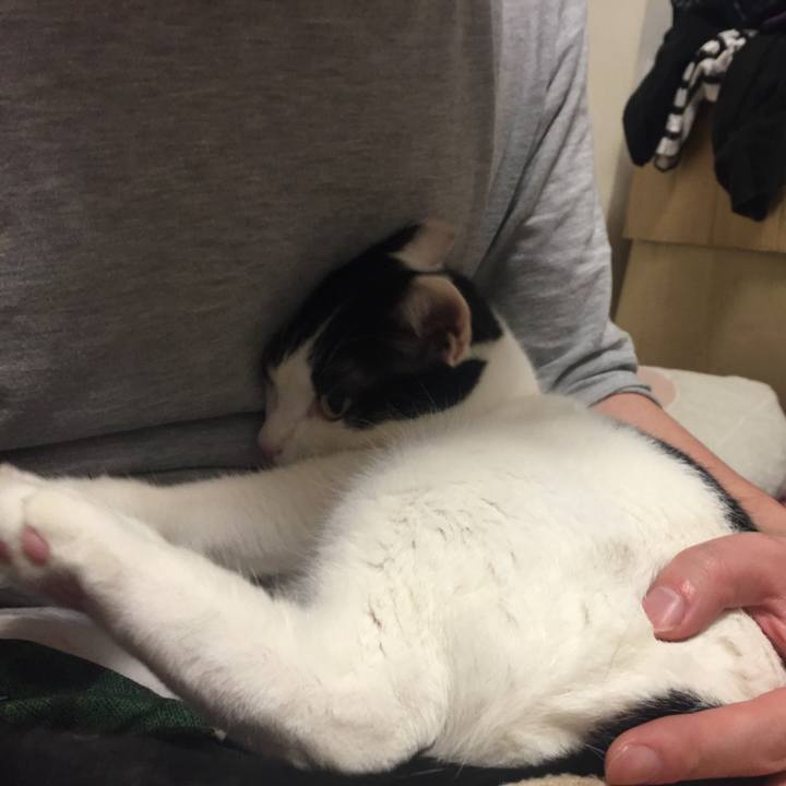 06dd1153 95c9 49b5 9eb4 9c3d887ea7b5