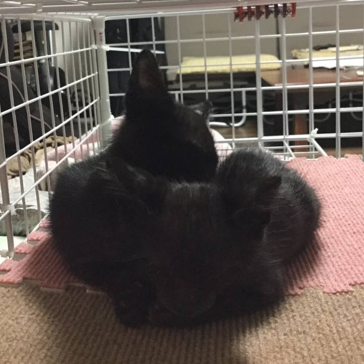 06de1076 aafd 4355 94c8 f50e7cb9df97