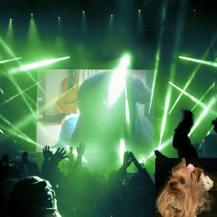 06de658b bfc3 4f55 b367 a2ff24ce8a4a