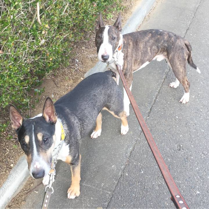 06de9207 0974 42fc 802a 5c75c1560edb