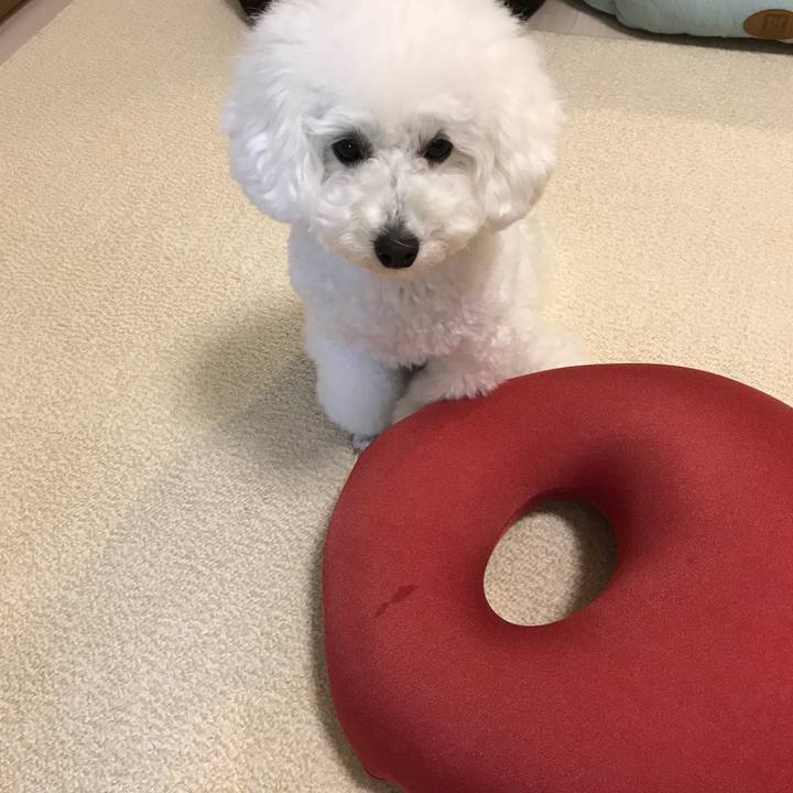 06def7e6 110f 439d 9b5e 967de1175ff1