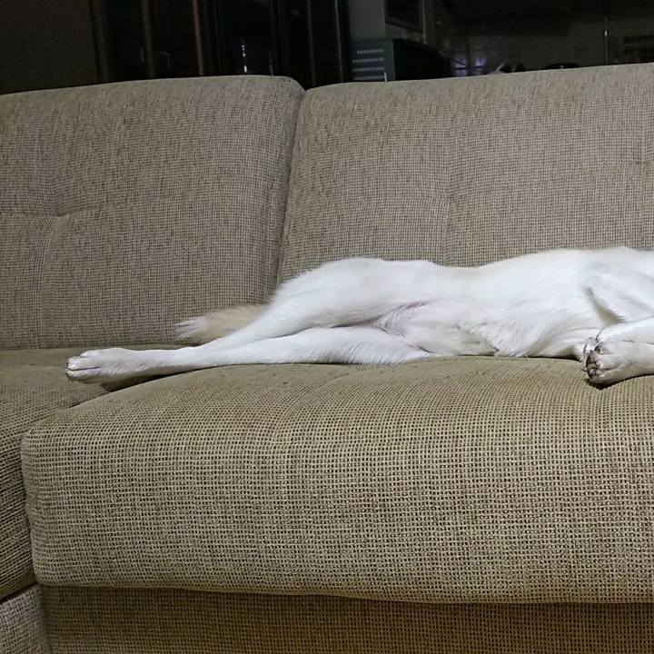 06df3a36 28f4 4819 9847 4583263c0712