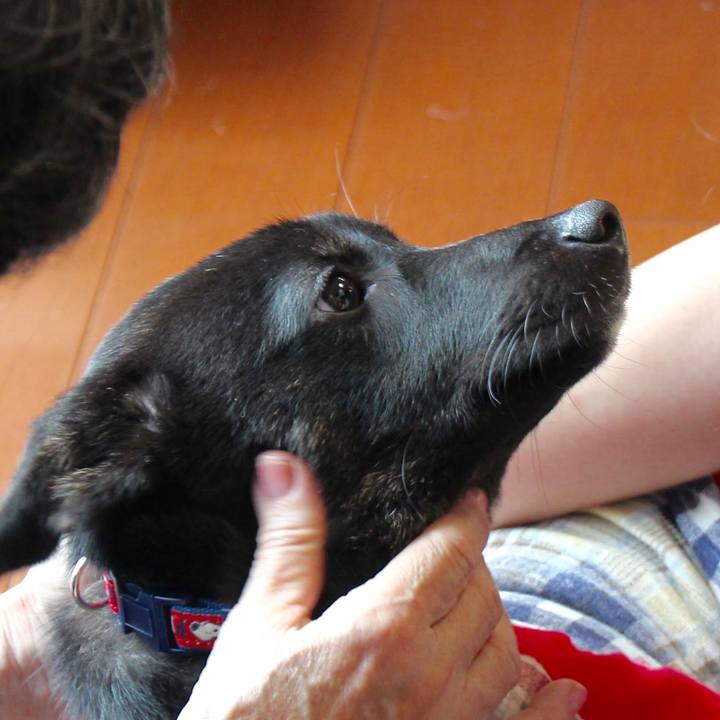 06df6267 9618 486b 8344 22496104ab13