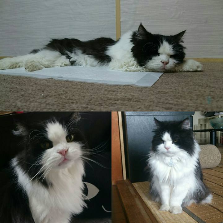 06df6c86 1e9f 40a9 a7af 236531537c24