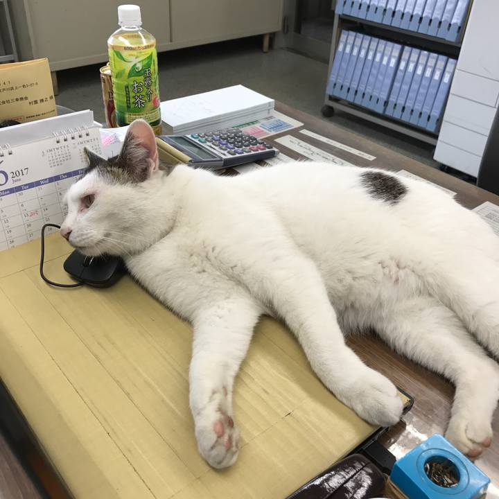 06df8bc3 218e 41f4 a0d5 af9be48cb14c