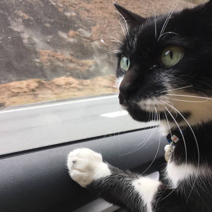 06dfd4e8 6c49 4278 9303 d04a1a00f337