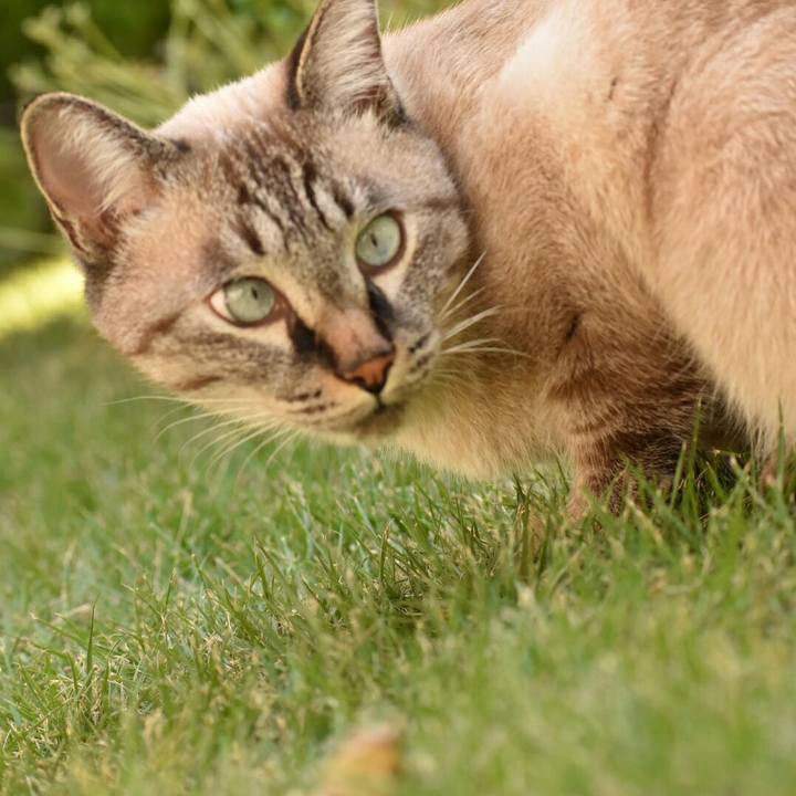 06e0022c 7f27 4a0b 8833 cab26b938c6d