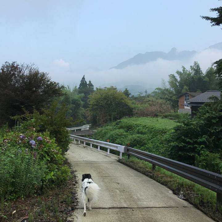 06e095f9 19e7 42e4 8c5b 999b95ae44a3