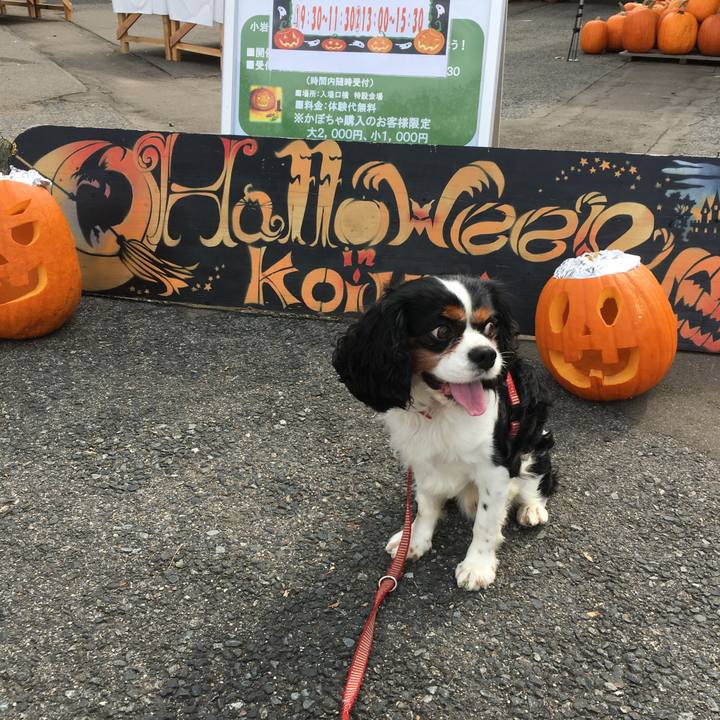 06e0967b a2d0 4a6e 9f10 67339d131a13