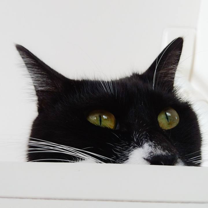 06e0e9ff fa75 4f51 b5b1 9a569bcac231