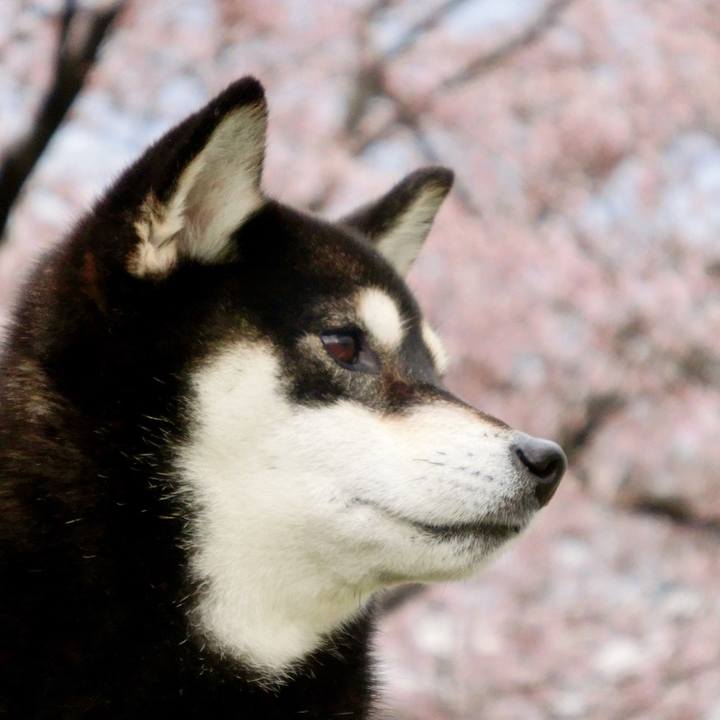 06e17526 b685 4b57 bf62 ccdf5965b3ff