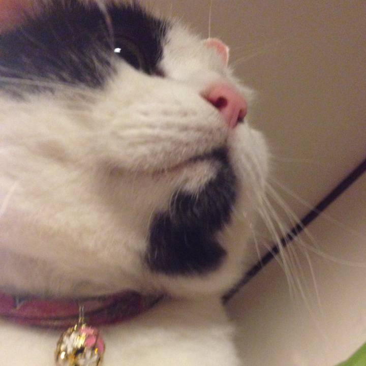 06e1c5ae 585b 49e5 912d 9fa79f2356d4