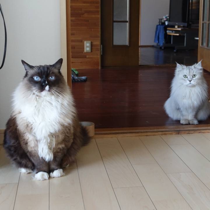 06e1ccd2 a01f 462f 9771 b72be29707a1