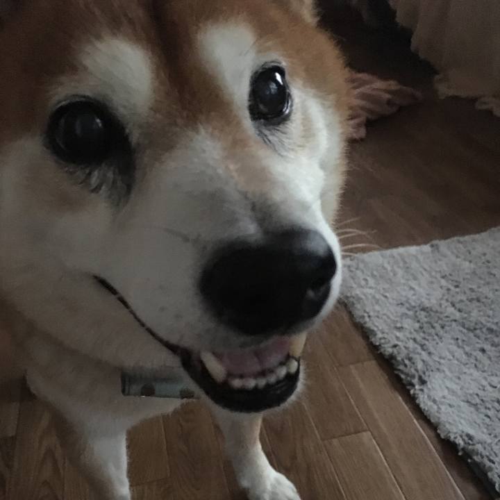 06e2faa3 0556 40b7 9b8f 5a5a00139e4d