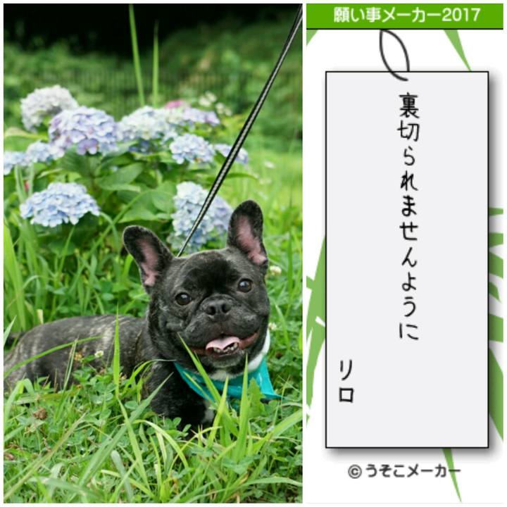 06e30ca4 d2f6 4cce a2cf 6dc2f6231c8b