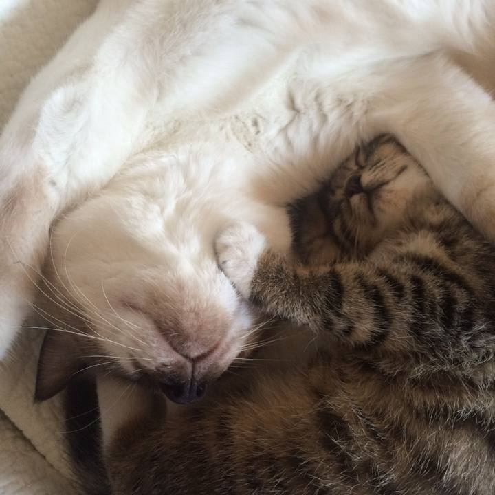 06e332eb 2467 4c26 aa59 e41beba4880e